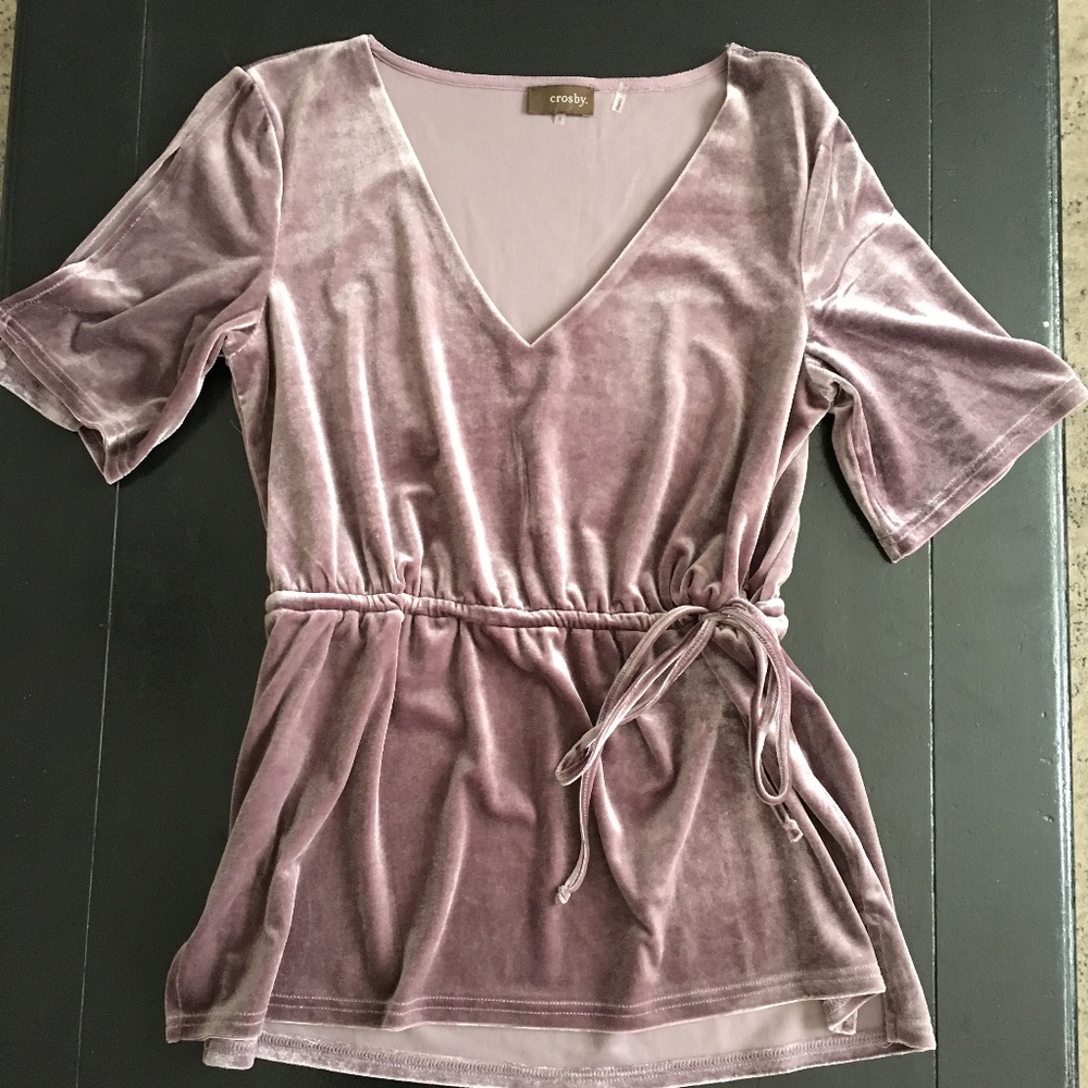 Mauve Short Sleeve Velvet Blouse